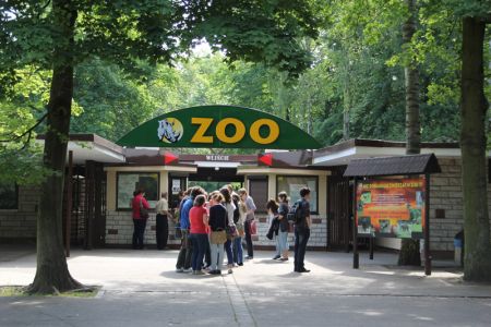 Remont torowiska. Jak dojechać do Nowego Zoo i części os. Warszawskiego