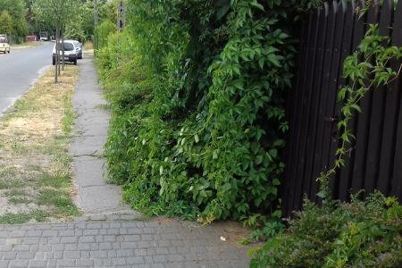 Wyremontujemy chodnik na ulicy Czorsztyńskiej