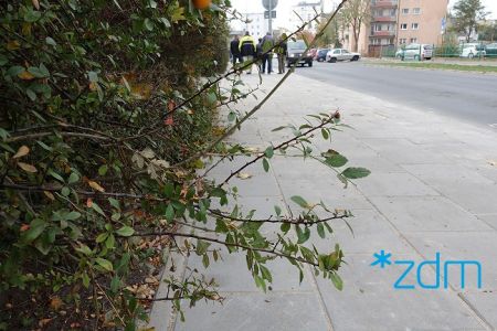 Wyremontowaliśmy kolejny odcinek chodnika na ulicy Jarochowskiego