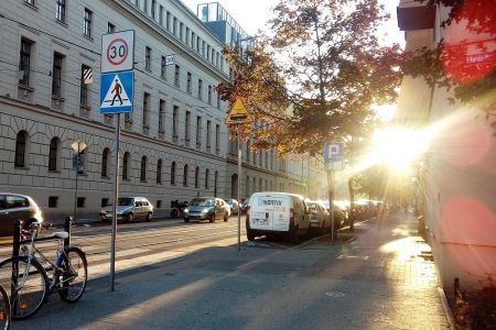Więcej zieleni na Starym Mieście