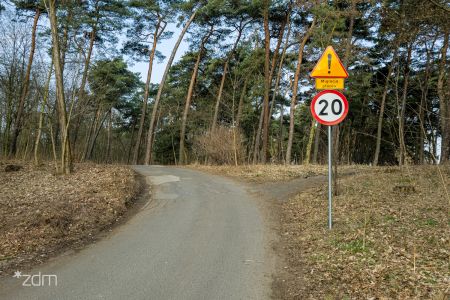 Znak drogowy z tabliczką o uważaniu na płazy ustawiony przy jezdni