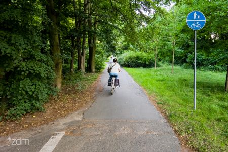 Rowerzysta na drodze rowerowej