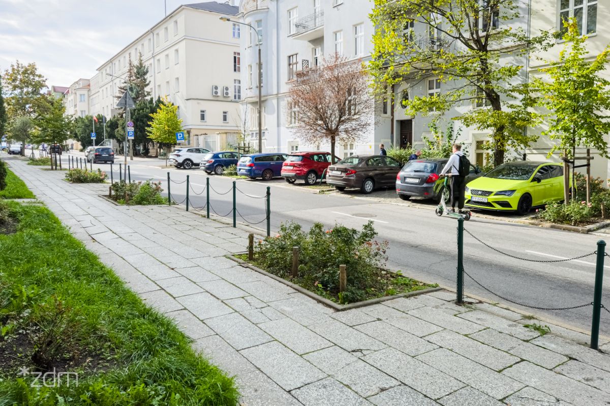 Będzie więcej zieleni na ul. Kochanowskiego