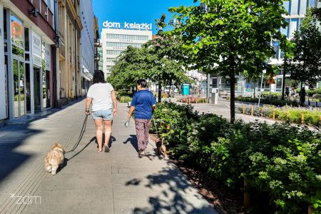 Dzień Psa po poznańsku!