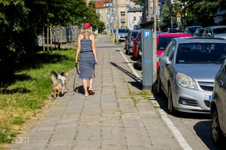 Mała kupa, duży problem