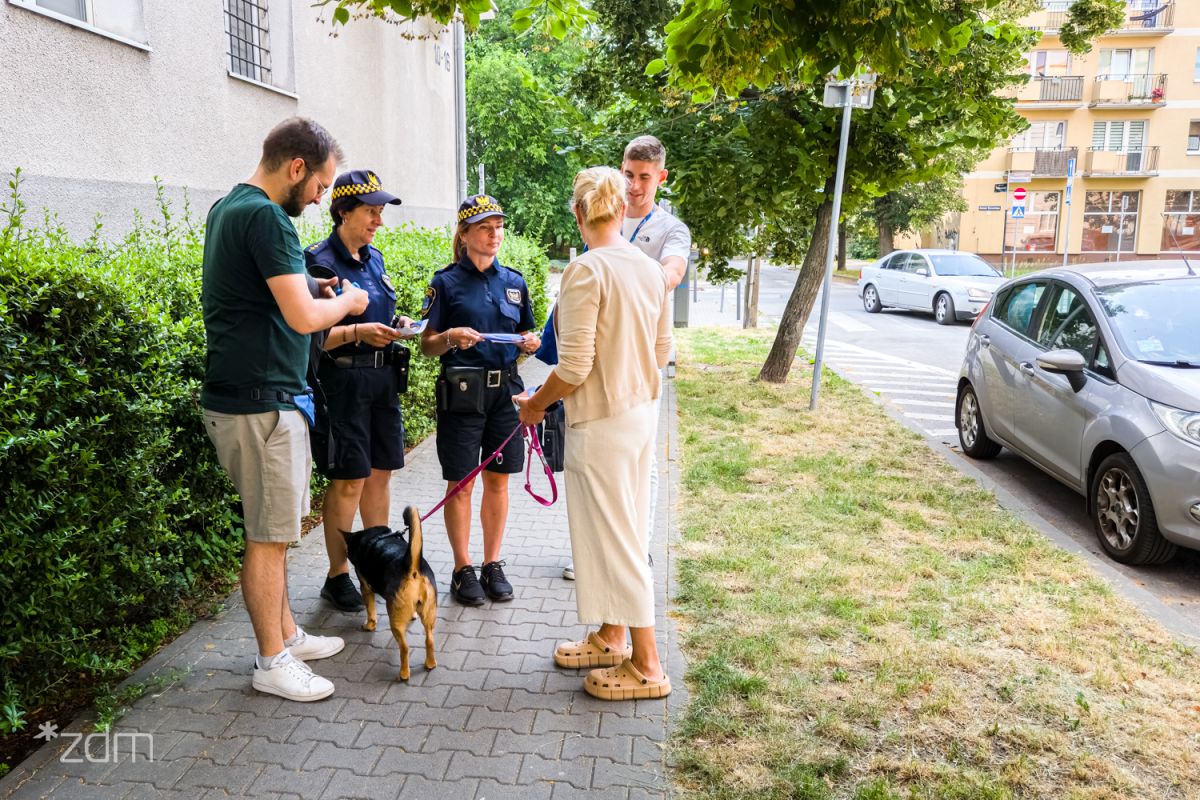 „Ja robię – Ty sprzątasz”: miasto odpowiedzialnych opiekunów 