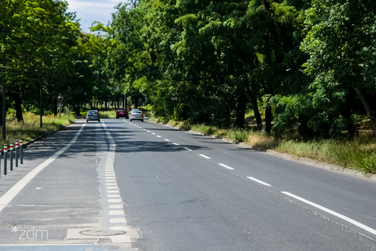 BitterSweet Festiwal - zmiany w organizacji ruchu