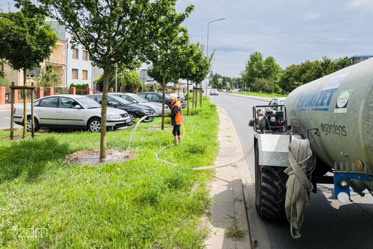 „Podlewacie, skoro pada?”