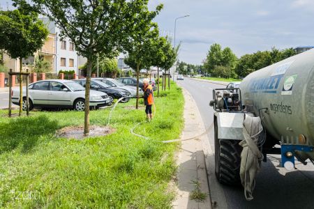 „Podlewacie, skoro pada?”