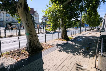 Więcej zieleni na ulicy Głogowskiej