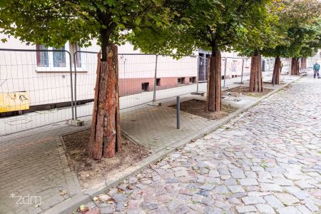 Więcej zieleni, mniej betonu na ul. Chłodnej