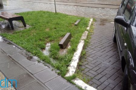 Będzie bardziej zielono na ul. Dąbrowskiego