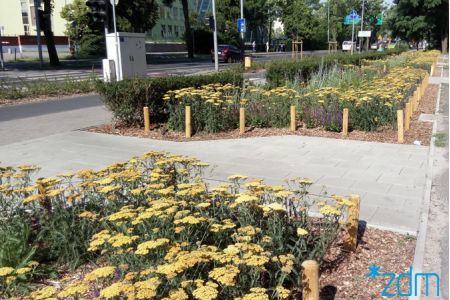 Piękniej na Jeżycach