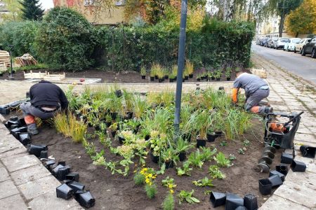 Pięknieje skwer u zbiegu ulic Rycerskiej i Włodkowica