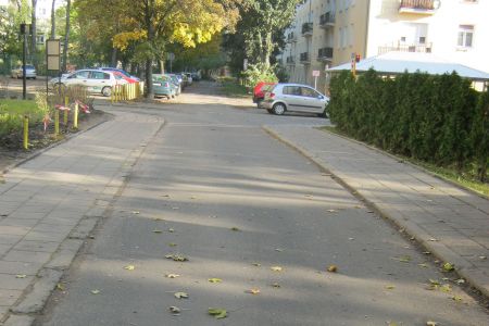 Remont nawierzchni ulicy Azaliowej