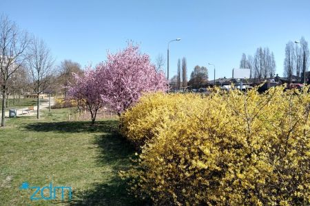 Koszenie dostosowane do warunków