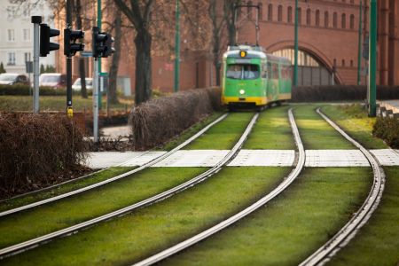 Dziś Światowy Dzień Ochrony Środowiska