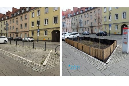 Zieleń na Chwaliszewie i nie tylko