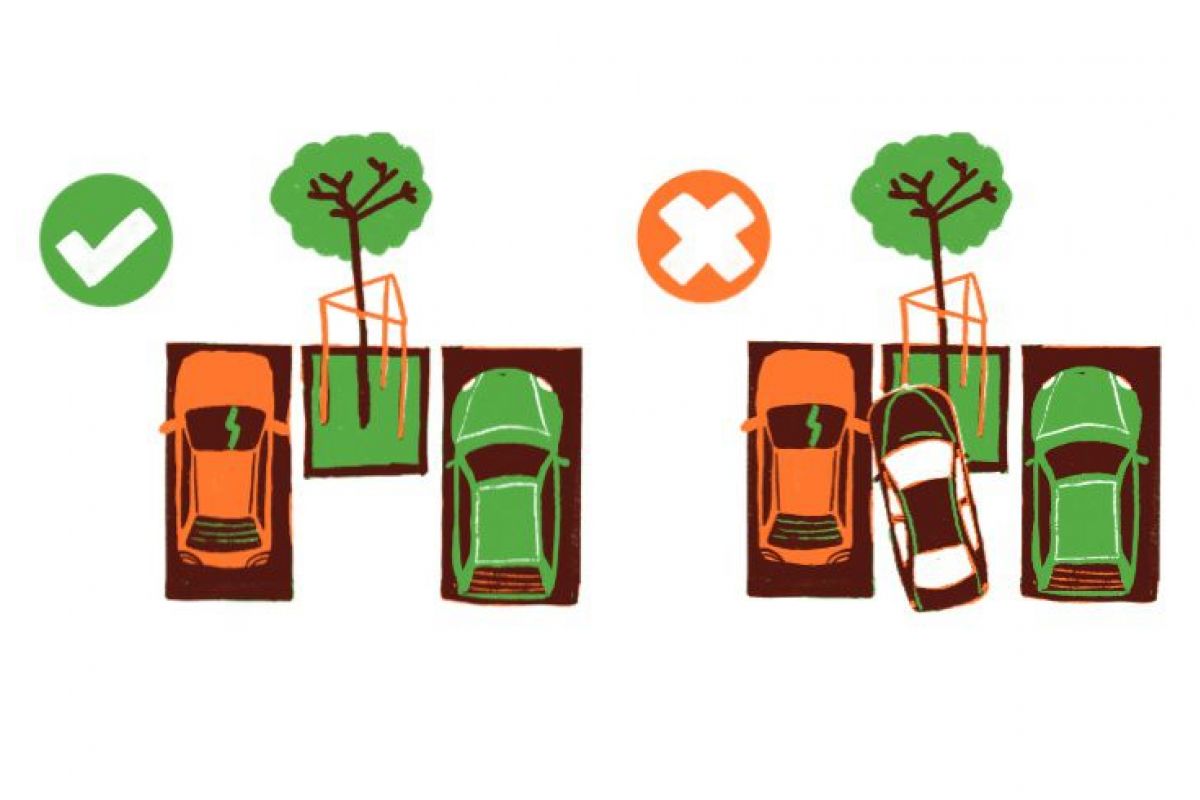 Infografika przedtawiająca parkowanie przy drzewach