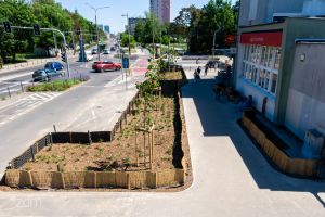 Ulica Szpitalna i Dąbrowskiego z nową zielenią