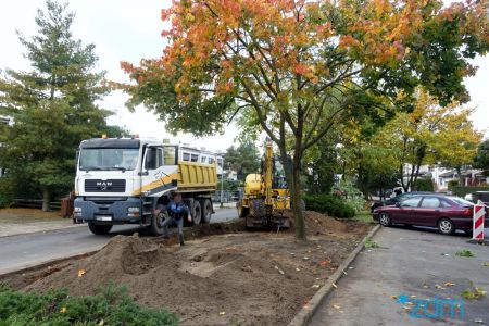 Nowa zieleń na ul. Szeherezady