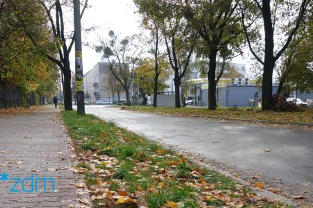 Więcej zieleni na ul. Chociszewskiego