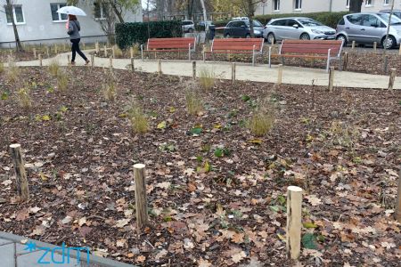 Park kieszonkowy z drzewami, setkami krzewów i kwiatów