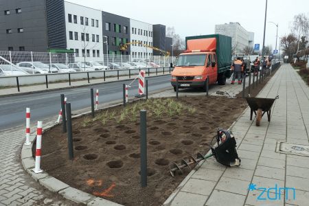 Więcej zieleni na ulicy Kamiennogórskiej