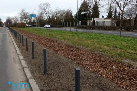 Więcej drzew przy poznańskich ulicach