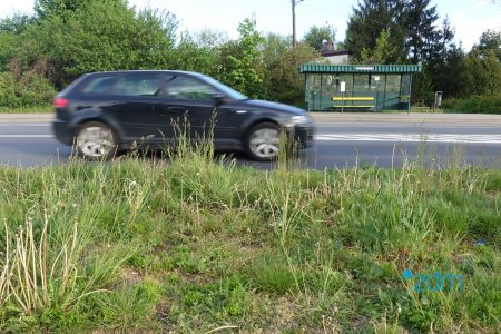 Trwa porządkowanie pasa drogowego