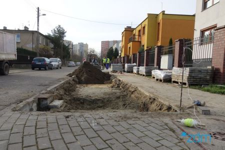 Więcej drzew na Grunwaldzie