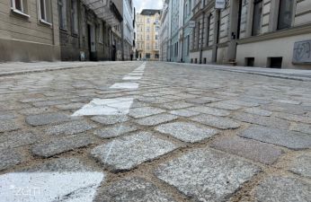 Widok z poziomu ulicy na kostkę, która jest częścią ulicy i namalowana przerywania linia z lewej strony wyznaczająca obręb parkingu