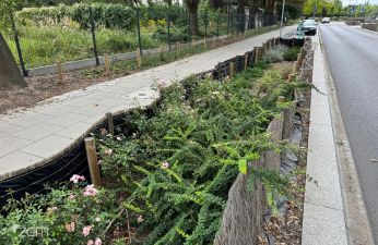 ... to maty kryją w sobie piękno! fot. Bartosz Szczepaniak / ZDM