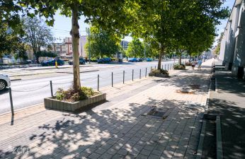 Będzie więcej zieleni na ul. Głogowskiej. fot. Bartosz Jankowski / ZDM