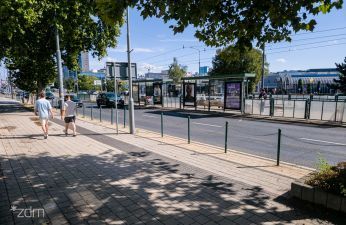 Będzie więcej zieleni na ul. Głogowskiej. fot. Bartosz Jankowski / ZDM