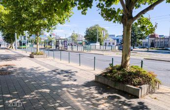 Będzie więcej zieleni na ul. Głogowskiej. fot. Bartosz Jankowski / ZDM