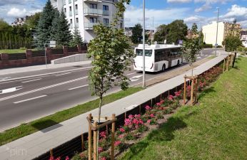 Nowy chodnik i drzewa w rejonie ul. Miedzianej. fot. PIM