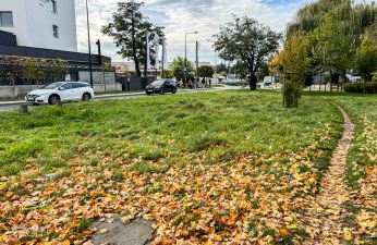 Teren zieleni bez chodnika.