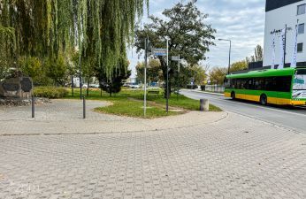 Skrzyżowanie, w tle teren zieleni.