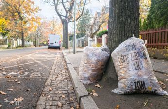 Dwa worki oparte o drzewo i zapełnione liśćmi