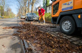 Osoba sprząta liście leżące na chodniku szczotką do zamiatania 