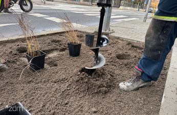 Więcej zieleni na ul. Wyspiańskiego. fot. Bartosz Szczepaniak / ZDM