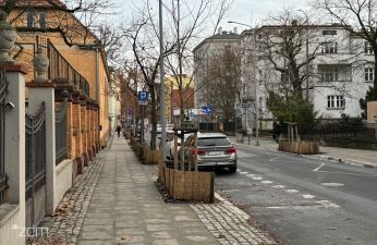 Tu zieleń została posadzona w 2022 roku, w miejscach, w których wcześniej był beton. fot. Bartosz Szczepaniak / ZDM