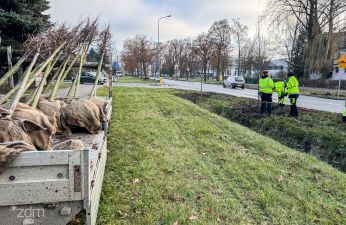 Tak wyglądały prace na ul. Szczepankowo. fot. Bartosz Szczepaniak / ZDM