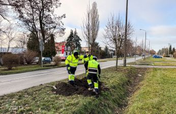 Tak wyglądały prace na ul. Szczepankowo. fot. Bartosz Szczepaniak / ZDM