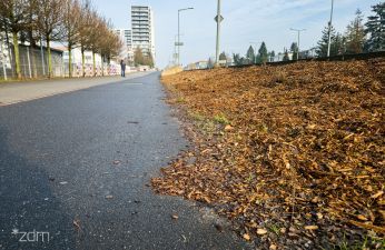 Droga dla rowerów na ul. Bułgarskiej. fot. Bartosz Jankowski / ZDM