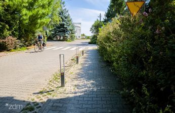 Dbaj o zieleń przed swoim domem! fot. Bartosz Jankowski / ZDM