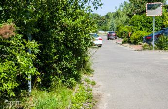 Dbaj o zieleń przed swoim domem! fot. Bartosz Jankowski / ZDM