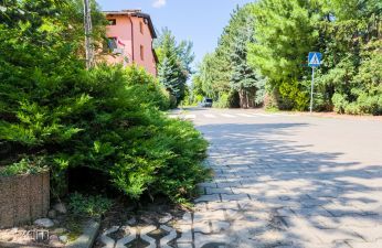 Dbaj o zieleń przed swoim domem! fot. Bartosz Jankowski / ZDM