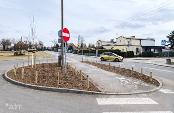 Klony, róże i słoneczniczki posadziliśmy przy ulicy Spławie.